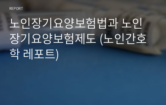 노인장기요양보험법과 노인장기요양보험제도 (노인간호학 레포트)