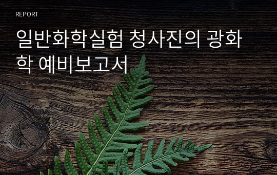 일반화학실험 청사진의 광화학 예비보고서