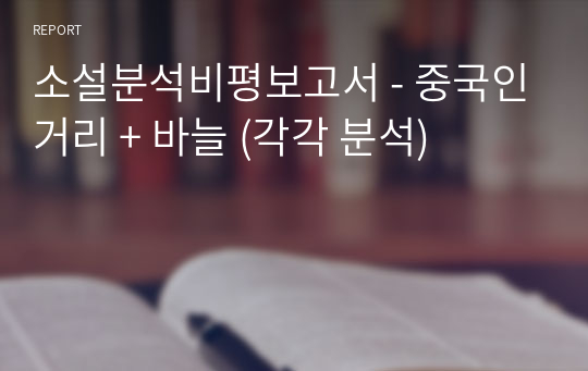 &lt;중국인거리&gt;, &lt;바늘&gt; 소설분석비평보고서(각각 분석)