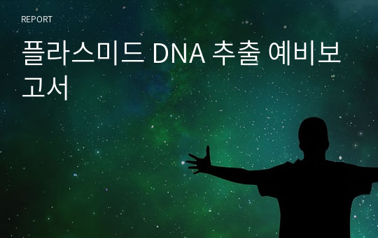 플라스미드 DNA 추출 예비보고서