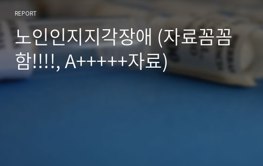 노인인지지각장애 (자료꼼꼼함!!!!, A+++++자료)