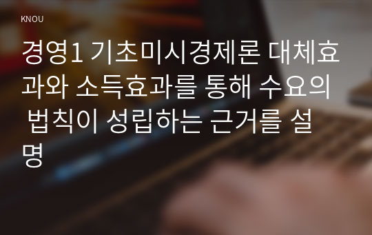 경영1 기초미시경제론 대체효과와 소득효과를 통해 수요의 법칙이 성립하는 근거를 설명