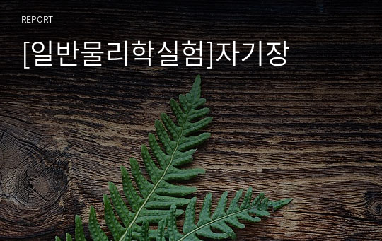 [일반물리학실험]자기장