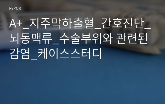 A+_지주막하출혈_간호진단_뇌동맥류_수술부위와 관련된 감염_케이스스터디