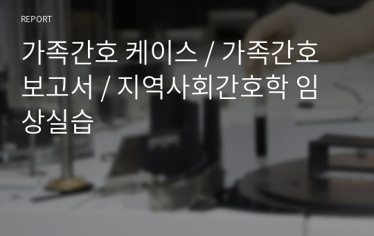 가족간호 케이스 / 가족간호 보고서 / 지역사회간호학 임상실습