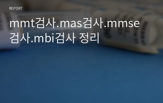 mmt검사.mas검사.mmse검사.mbi검사 정리