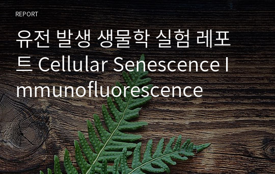 유전 발생 생물학 실험 레포트 Cellular Senescence Immunofluorescence