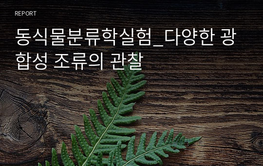 동식물분류학실험_다양한 광합성 조류의 관찰