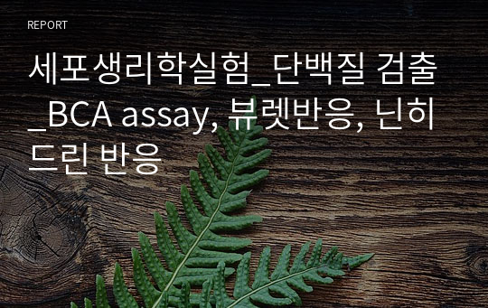 세포생리학실험_단백질 검출_BCA assay, 뷰렛반응, 닌히드린 반응