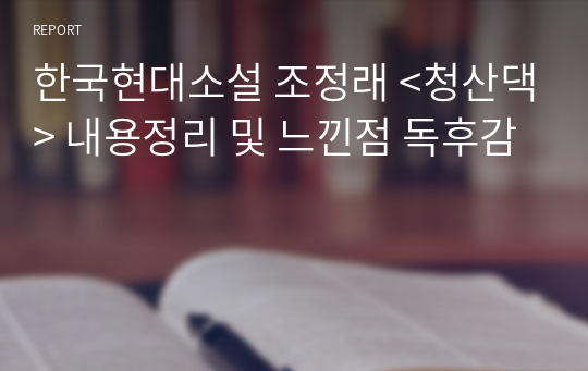 한국현대소설 조정래 &lt;청산댁&gt; 내용정리 및 느낀점 독후감