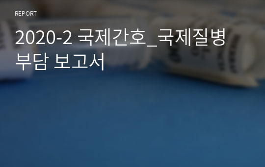 2020-2 국제간호_국제질병부담 보고서