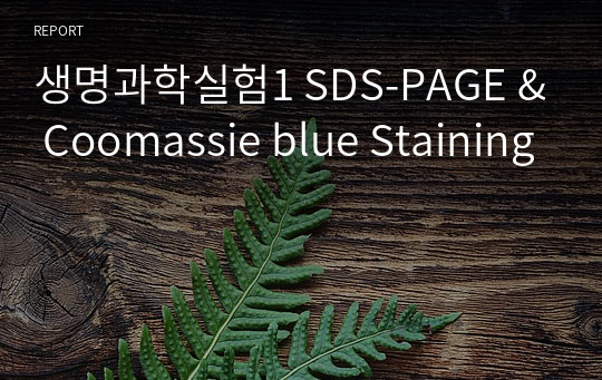 생명과학실험1 SDS-PAGE &amp; Coomassie blue Staining