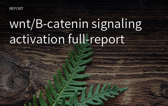 wnt/B-catenin signaling activation full-report