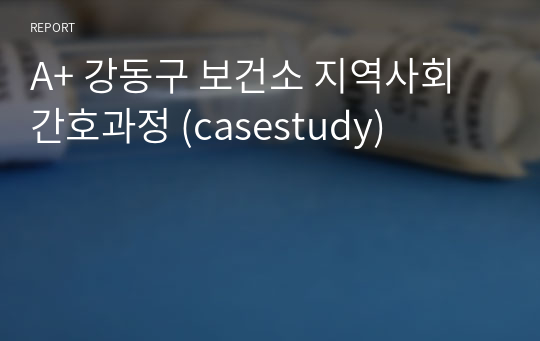 A+ 강동구 보건소 지역사회간호과정 (casestudy)