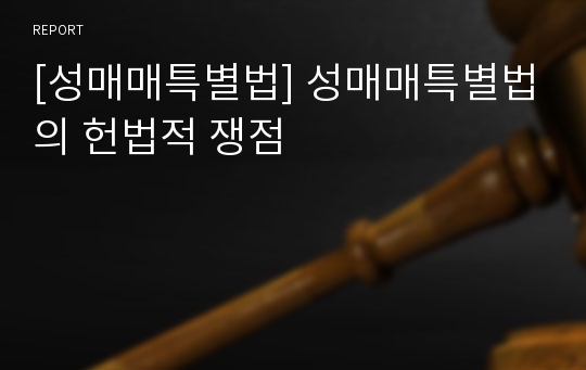 [성매매특별법] 성매매특별법의 헌법적 쟁점