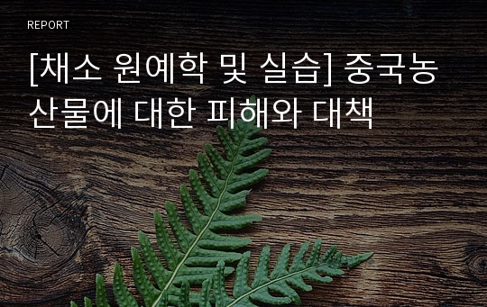 [채소 원예학 및 실습] 중국농산물에 대한 피해와 대책