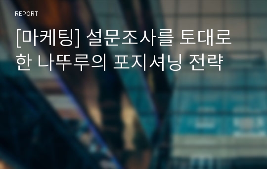 [마케팅] 설문조사를 토대로 한 나뚜루의 포지셔닝 전략