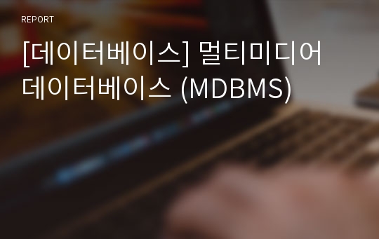 [데이터베이스] 멀티미디어 데이터베이스 (MDBMS)