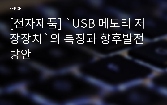 [전자제품] `USB 메모리 저장장치`의 특징과 향후발전방안