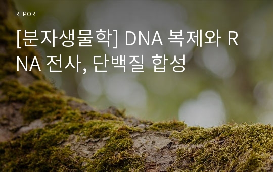[분자생물학] DNA 복제와 RNA 전사, 단백질 합성