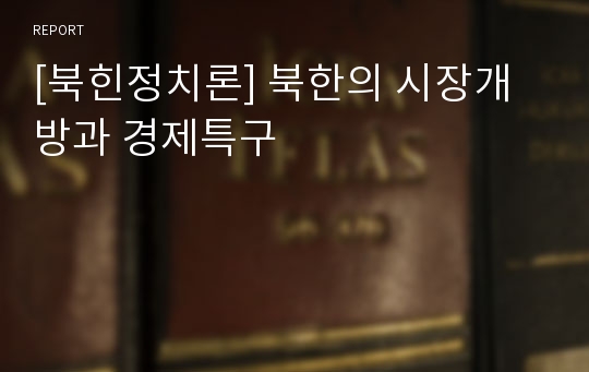 [북힌정치론] 북한의 시장개방과 경제특구