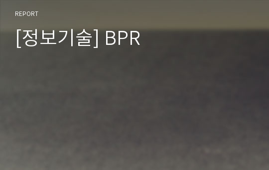 [정보기술] BPR