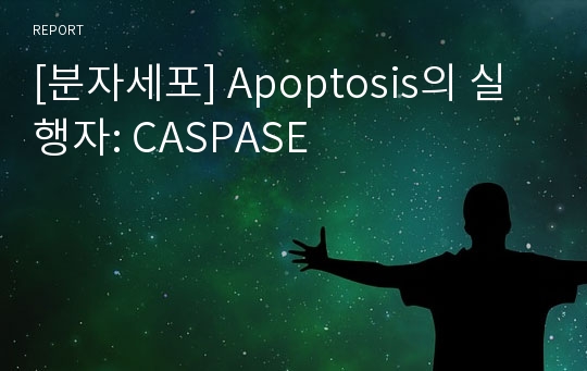 [분자세포] Apoptosis의 실행자: CASPASE