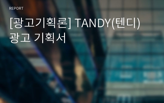 [광고기획론] TANDY(텐디) 광고 기획서