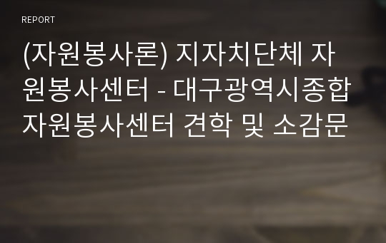 (자원봉사론) 지자치단체 자원봉사센터 - 대구광역시종합자원봉사센터 견학 및 소감문