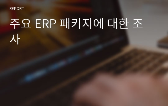 주요 ERP 패키지에 대한 조사