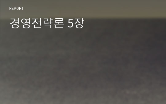 경영전략론 5장