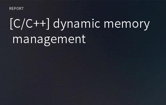 [C/C++] dynamic memory management