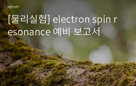 [물리실험] electron spin resonance 예비 보고서