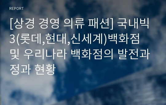 [상경 경영 의류 패션] 국내빅3(롯데,현대,신세계)백화점 및 우리나라 백화점의 발전과정과 현황