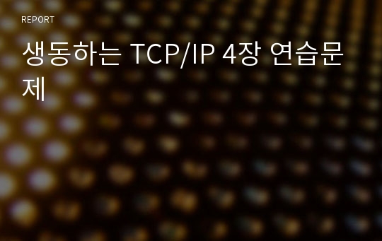생동하는 TCP/IP 4장 연습문제