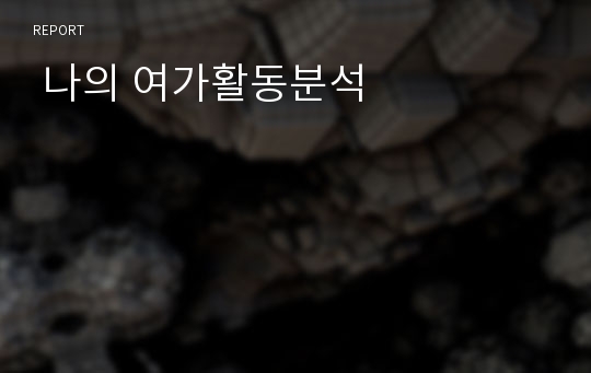  나의 여가활동분석