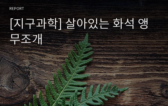 [지구과학] 살아있는 화석 앵무조개