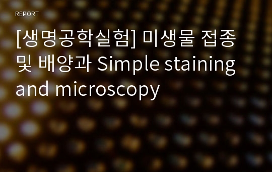 [생명공학실험] 미생물 접종 및 배양과 Simple staining and microscopy