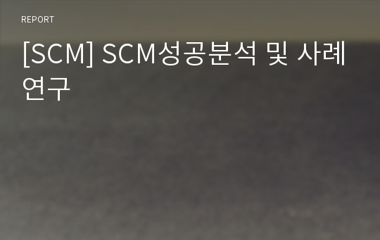 [SCM] SCM성공분석 및 사례연구