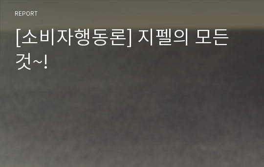 [소비자행동론] 지펠의 모든것~!