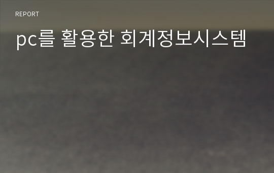 pc를 활용한 회계정보시스템