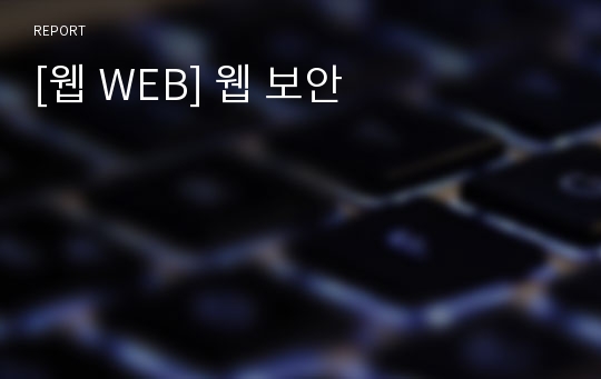 [웹 WEB] 웹 보안