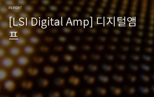 [LSI Digital Amp] 디지털앰프