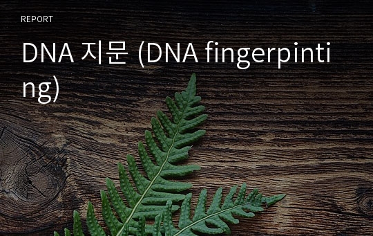 DNA 지문 (DNA fingerpinting)