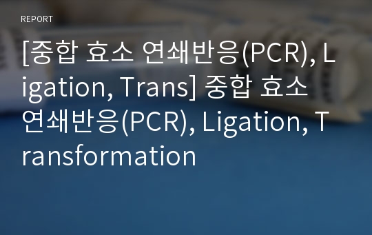 [중합 효소 연쇄반응(PCR), Ligation, Trans] 중합 효소 연쇄반응(PCR), Ligation, Transformation