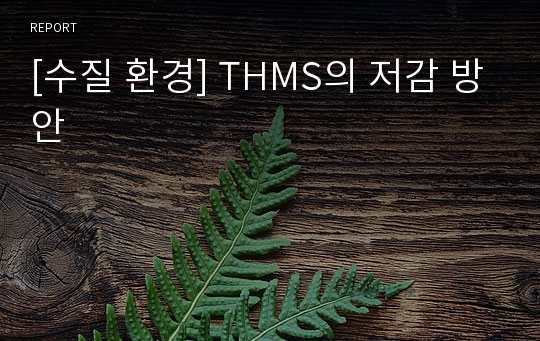 [수질 환경] THMS의 저감 방안