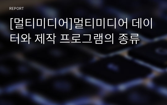 [멀티미디어]멀티미디어 데이터와 제작 프로그램의 종류