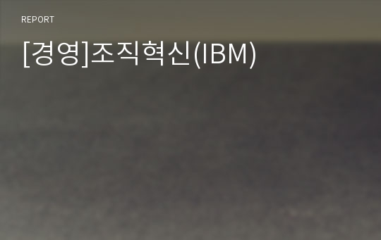 [경영]조직혁신(IBM)