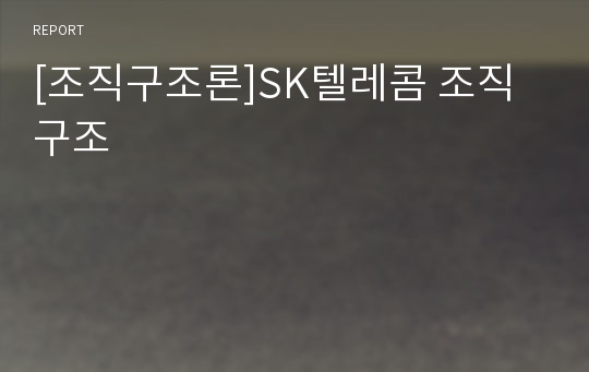 [조직구조론]SK텔레콤 조직구조