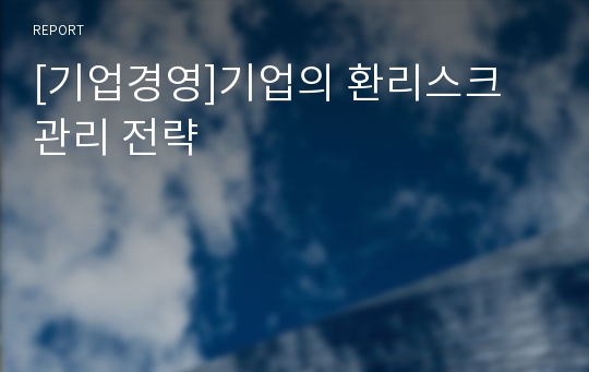 [기업경영]기업의 환리스크 관리 전략